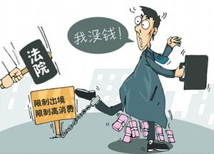 申请被限制出境的记录有哪些条件和限制？